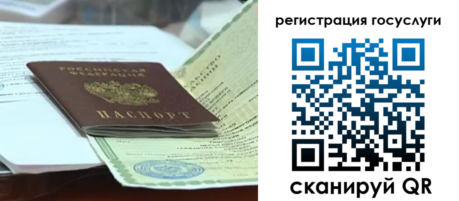 временная регистрация недорого в Светлогорске
